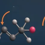 Free radical addition reactions of conjugated dienes